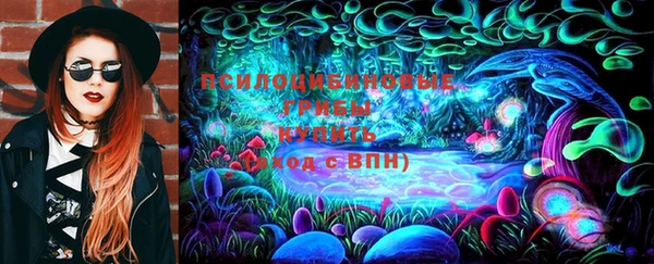 стаф Алексеевка