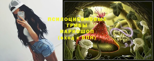 стаф Алексеевка