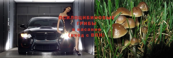 стаф Алексеевка
