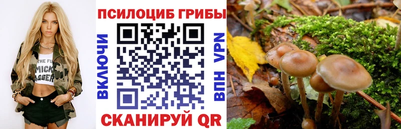 Псилоцибиновые грибы Magic Shrooms  Кириши 
